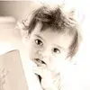 Paul Hollenback - @paulhollenback - TikTok