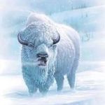 Paul Bolte - @coloradomountainman_ - Instagram
