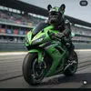 Paul Bompa - @paulbompa - TikTok