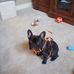 Paul Bomar - Facebook