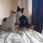 Paul Sutherland - @paulbombadil - Instagram