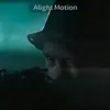 paulbaumer2 - @paulbomber2 - TikTok