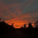 Paul Bongiorno - @pauldavidbongiorno - Instagram