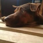 Paul Bonilla - @p.bonia23 - Instagram