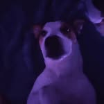 @paul_bonilla_ - Instagram