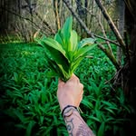 @paul.bonneaupro - Instagram