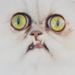 Paul_Bonzi - @paul_bonzi - Instagram