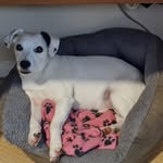 Paul Boorman - @magieandmarley - Instagram