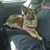 jeanpaulbootsma40 - @jeanpaulbootsma40 - TikTok