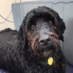 Paul Border - @paul.border - Instagram