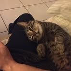 Paul Borges - Facebook