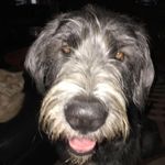 Paul Borkowski - @pauliedapizzacook - Instagram