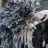 paulbossi0 - @paulbossi0 - TikTok