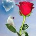 Paul Bostic - Facebook