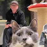 Ian Paul Bostock - @bozzerib - Instagram