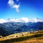 Paul Bdx - @paul_bourdeaux - Instagram