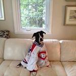 Paul Bourdeau - @pbsmiles5 - Instagram