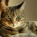 Jean-Paul Bourgeault - Facebook