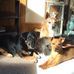 Paul Bourke - Facebook