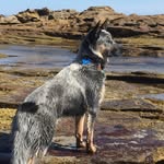Paul Bourke - @paul.bourke.125 - Instagram