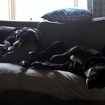 Paul Bourne - @bourneap - Instagram