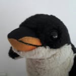 Paul Bowering - @uniquepenguin66 - Instagram