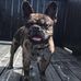 Pj Bowering - Facebook