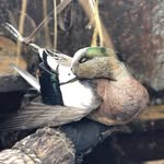 Paul Bowling - @paul.bowling - Instagram