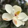 Paul Bowling - @paul.bowling4 - TikTok