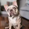 Paul Boyden - @paul.boyden7 - TikTok