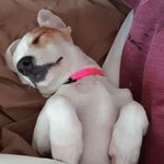 Paul Brabham - @brabham.paul - Instagram