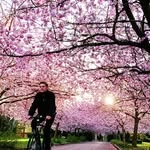 Paul Bracewell - @paul.bracewell.1884 - Instagram