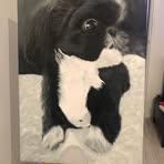 Paul Bracey - Facebook