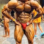 Paul Jose Bracho Sthormes - @paulbrachoifbbpro - Instagram