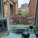 Paul Brackelsberg - @brackelsbergpaul - Instagram