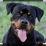 Paul Bradburn - @paul.bradburn.52 - Instagram