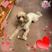 Paul Bragg - Facebook