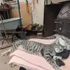 Paul Bragg - @paul.bragg6 - TikTok