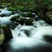 Paul Brannon Photography - Facebook