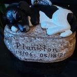 Paul Brant - @paul.brant.56863 - Instagram