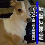 Paul Allen Brantley - @pallenb416 - Instagram