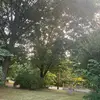 Paul - @paulbrannum - TikTok