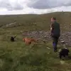 Paul Brass - @paul.brass3 - TikTok