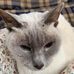 Paula Brinkmann - Facebook