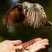 Paul Brayen - Facebook