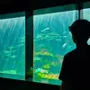 Paul - @paul.brayere - TikTok
