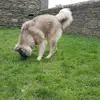 Paul Breen - @paul.breen23 - TikTok