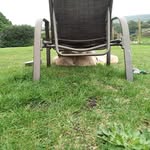 Paul Bridger - @paul.bridger.77 - Instagram