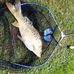 Paul Briscoe - Facebook