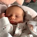Paul Brisson - @brisson.paul.63 - Instagram